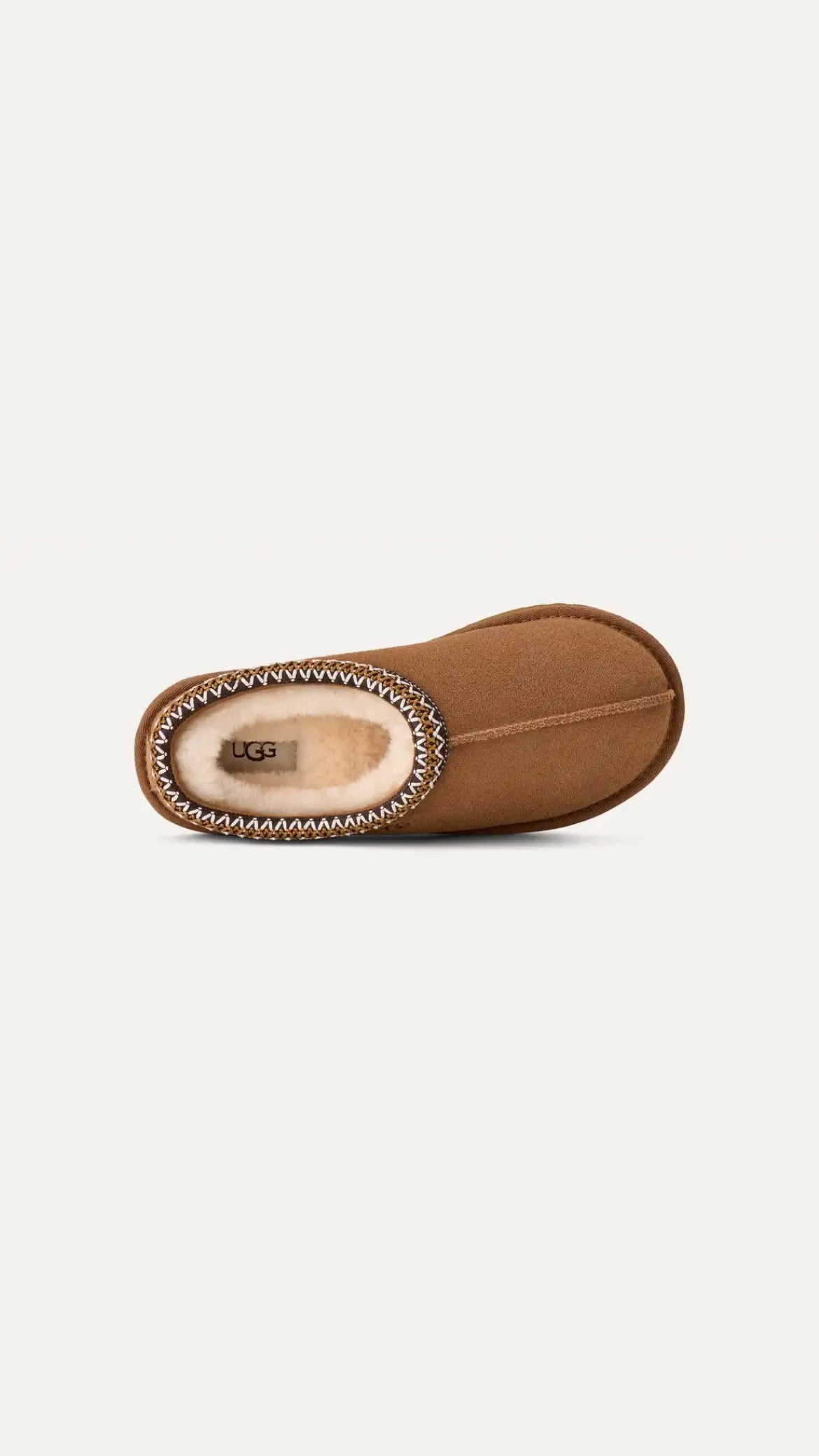 Tasman - brown